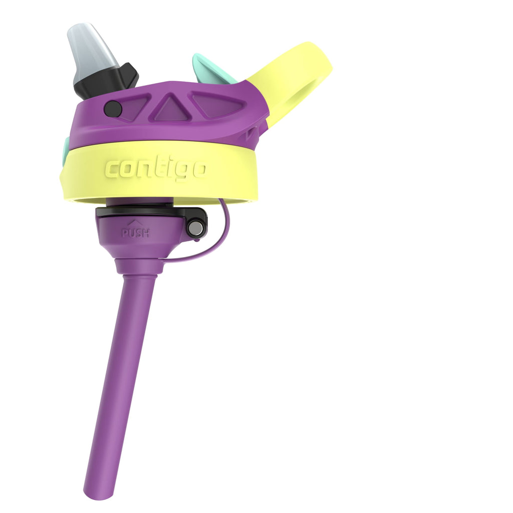 (4 pack) Contigo Kids Water Bottle with Redesigned AUTOSPOUT Straw, 14 oz, Grape Forest Haven 6GXT